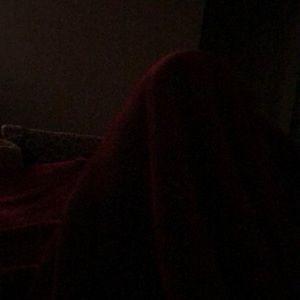 Meet your Posher, Max